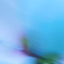 Website hosting